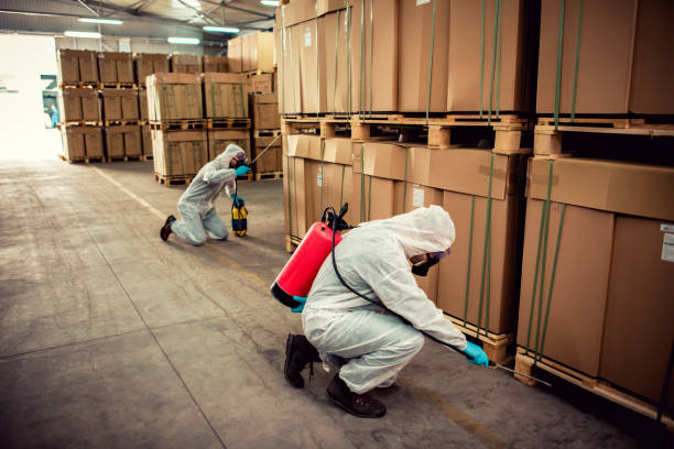 Best Exterminator Services  in Chevy Chase Heights, PA