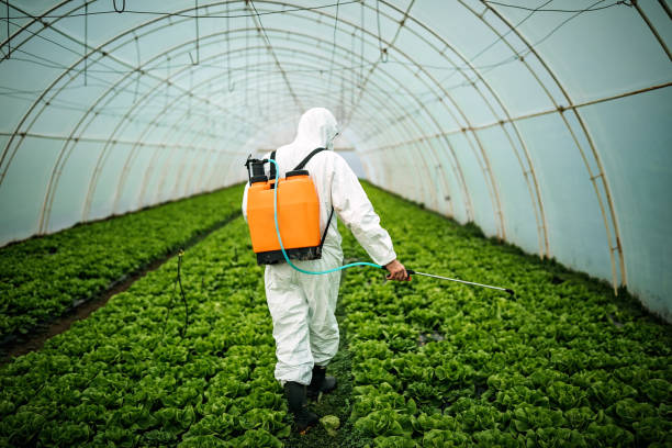 Pest Control for Restaurants in Chevy Chase Heights, PA