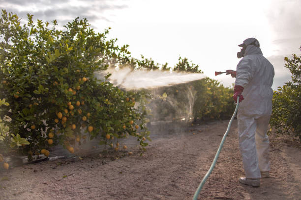 Best Termite Control Services  in Chevy Chase Heights, PA